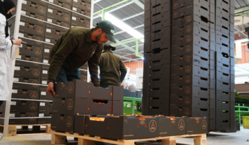 Savoir-faire agricole